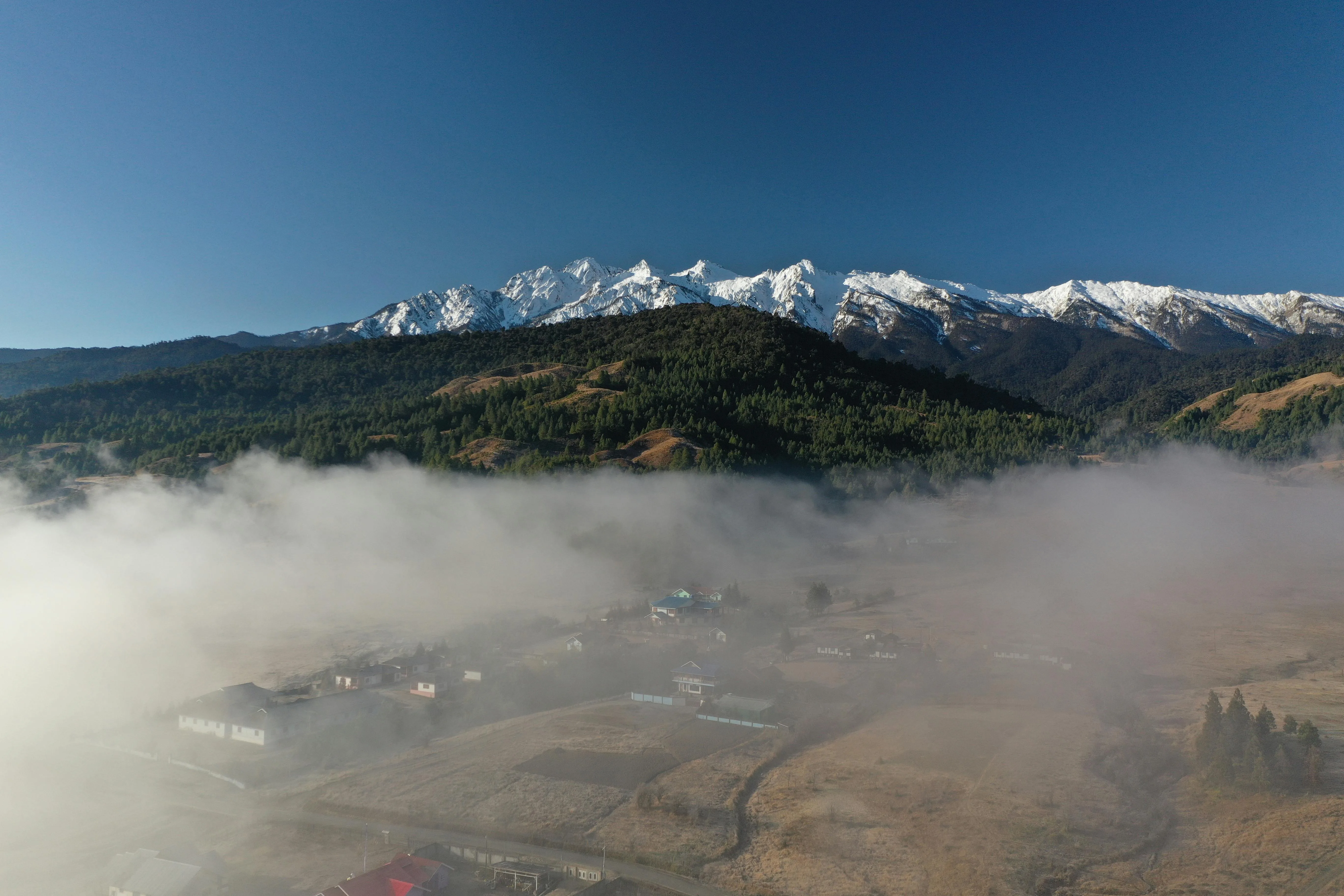 Arunachal & Nameri Explorer